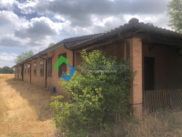 Splendida Azienda Agricola con scuderia per cavalli e vista su Siena - Foto 13