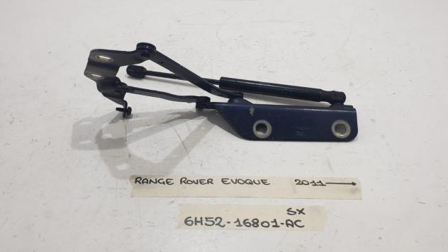 CERNIERA COFANO ANTERIORE SX LAND ROVER Range Rover Evoque 1° Serie 6H52-16801-AC (11)