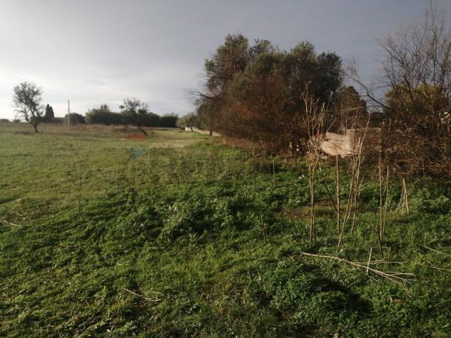 Terreno Industriale in vendita a Motta Sant'Anastasia - Foto 5