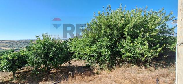 Cascina/Casale in vendita a Noto - Foto 3