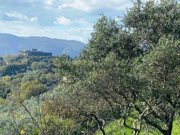 Indipendente in vendita a Sarzana - Foto 5