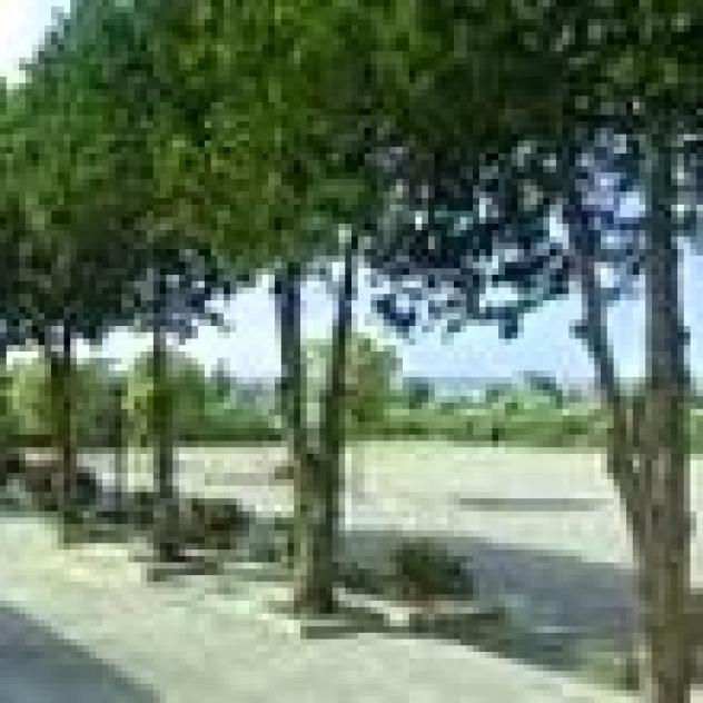 Hotel Samarcanda di Parmigiani Candida - Foto 4