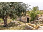 Azienda Agricola in vendita a Ragusa, Donnafugata