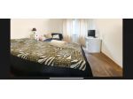 Bocconi quadriilocale per studenti libero da subito
