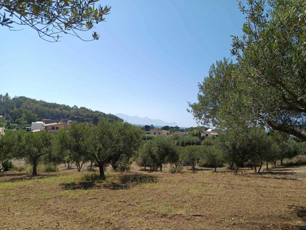 Seminativo in vendita a Balestrate