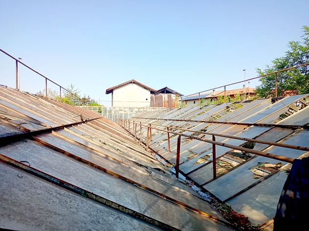 Azienda di floricoltura a Pozzuolo del Friuli - Foto 9