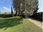Rustico in vendita a Pappiana - San Giuliano Terme 400 mq  Rif: 1399128