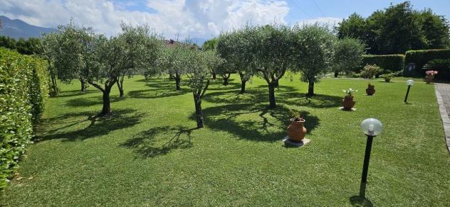 Villa in vendita a Ricortola - Massa 250 mq Rif: 1183356 - Foto 6