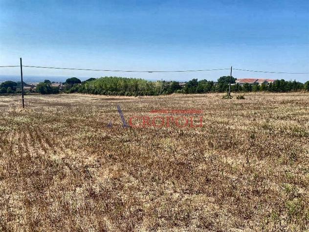 Terreno Agricolo - Rif. 2415 - Foto 3