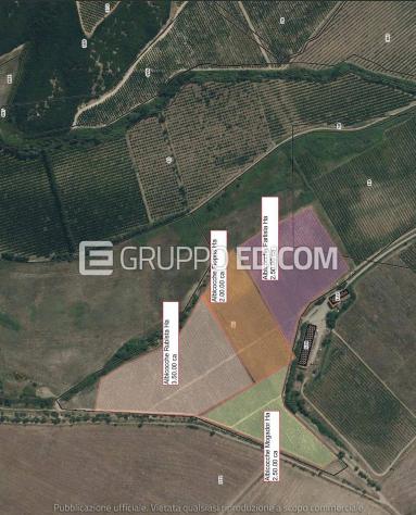 Terreno in vendita a Pisticci - Rif. 4549508 - Foto 7