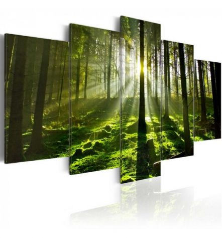 Quadro Nel Bosco 100x50 E 200x100 ARREDALACASA