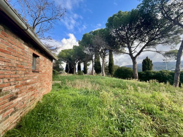 Pentalocale in vendita a Scansano - Foto 7