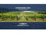 Immobile in asta di 3533 m² in vendita a Ferrandina