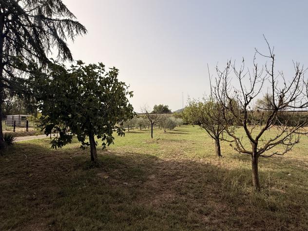 Casa di campagna in Via Fra' Filippo Longo - Foto 17