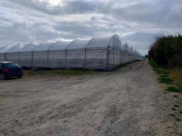 Immobile in asta di 48970 m² in vendita a Noto - Foto 4
