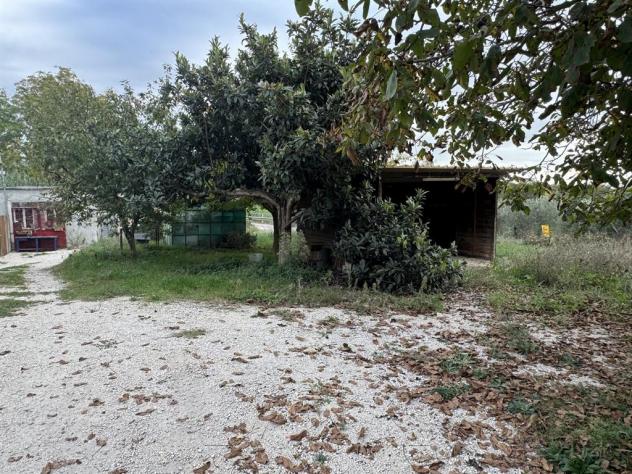 ALBANO LAZIALE - Foto 13
