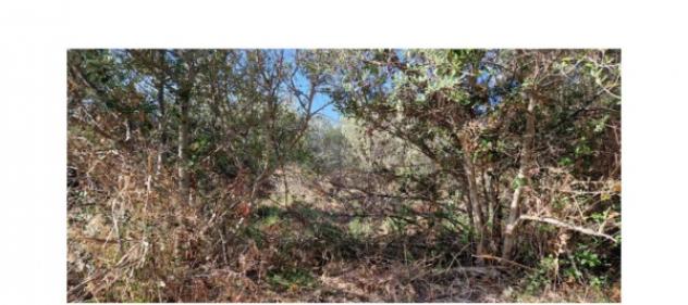 Immobile in asta di 57175 m² in vendita a Messina - Foto 7