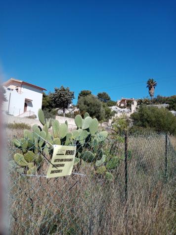Pascolo in vendita a Siracusa - Foto 4