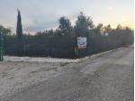 TERRENO AGRICOLO