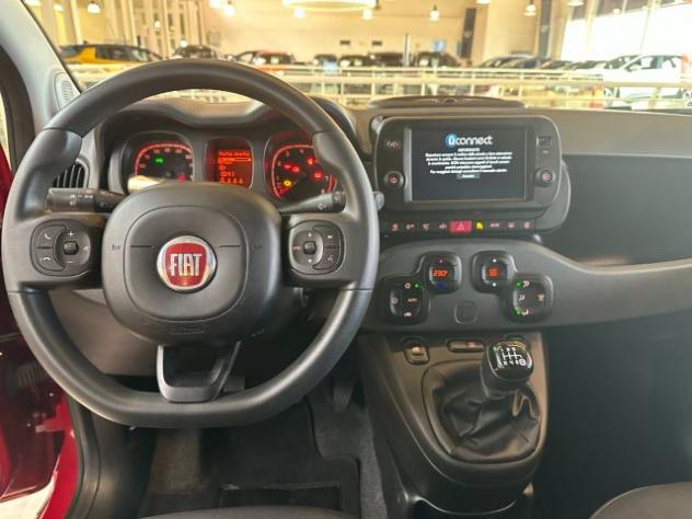 FIAT Panda 1.0 FireFly S&S Hybrid City Cross rif. 24101883 - Foto 8