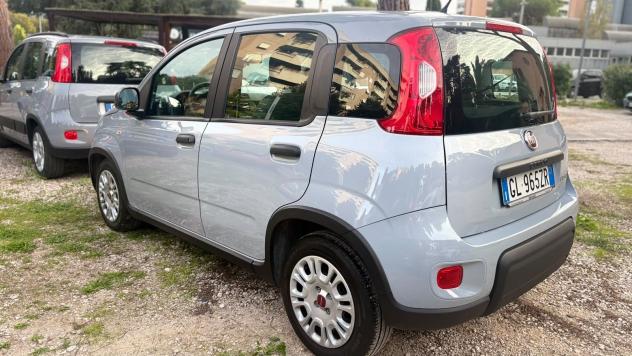 FIAT Panda Panda 1.0 firefly hybrid s&s 70cv 12 MESI DI GARANZIA - Foto 5