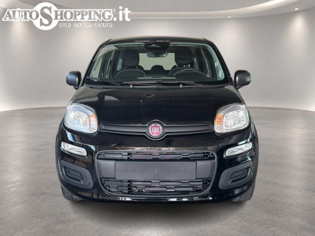 FIAT Pandina Panda III 1.0 firefly hybrid Icon s&s 65cv 5p.ti - Foto 2