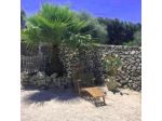 Masseria Li Cafari