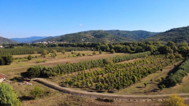 Villa in Località Verduzio - Foto 5