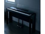 Pianista per hotel e ristoranti eleganti