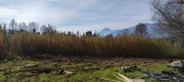 Prato in vendita a Cassino - Foto 4
