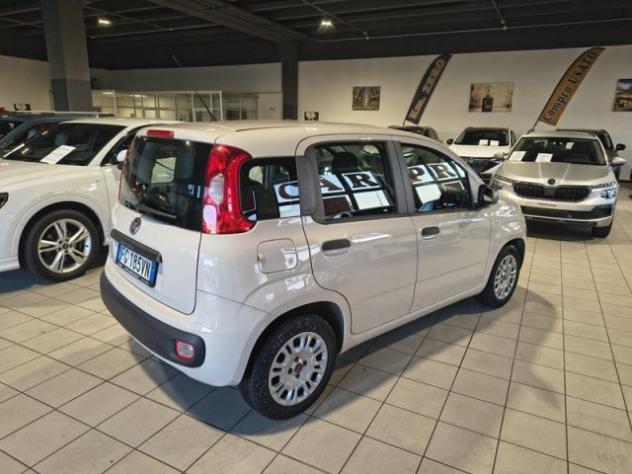 FIAT Panda 1.2 Easy NEOPATENTATI rif. 23790713 - Foto 5
