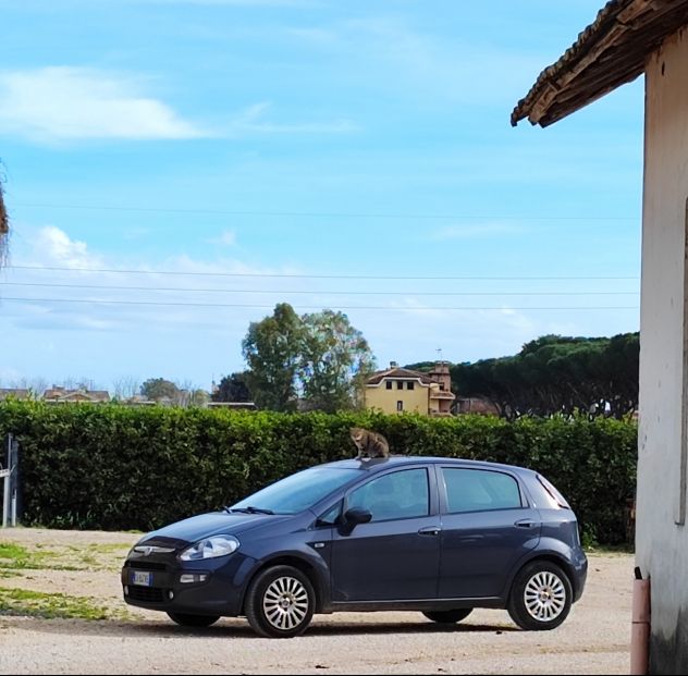Fiat Punto Evo
