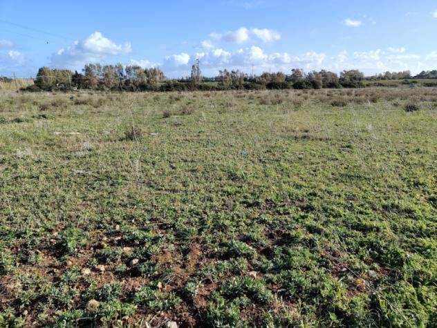 Sassari vendesi terreno agricolo 17043 Mq - Foto 5