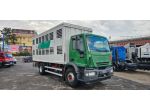 IVECO EUROCARGO 180E28  TRASPORTO ANIMALI VIVI-BESTIAME rif. 23390709