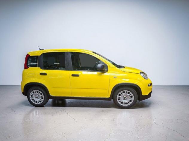 FIAT Pandina Pandina 1.0 firefly hybrid Icon s&s 65cv - Foto 5