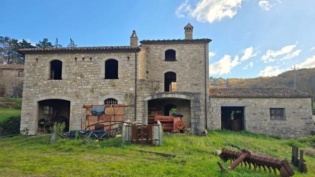 Azienda Agricola in vendita a Baschi - Foto 6