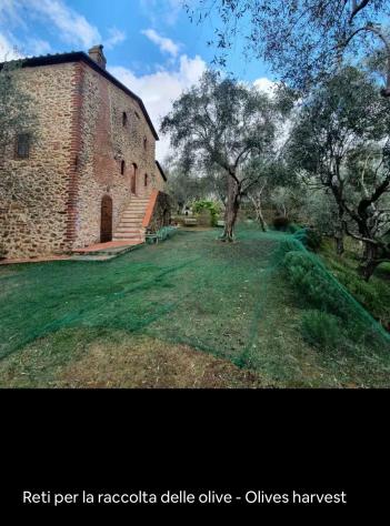 Rustico in vendita a Camaiore 230 mq Rif: 1315154 - Foto 2