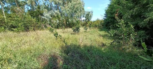 Terreno agricolo in vendita a Pontasserchio - San Giuliano Terme 1270 mq  Rif: 1195829