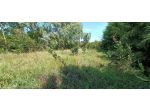 Terreno agricolo in vendita a Pontasserchio - San Giuliano Terme 1270 mq  R &hellip;