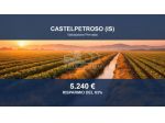 Immobile in asta di 5087 m² in vendita a Castelpetroso