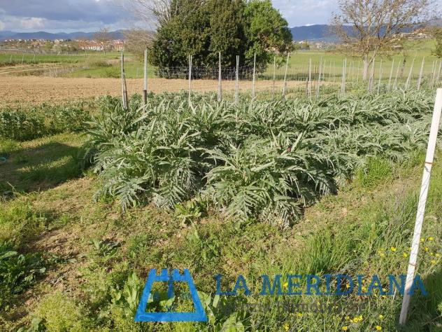 Terreno agricolo in vendita a Cerreto Guidi 21500 mq Rif: 1071586 - Foto 8