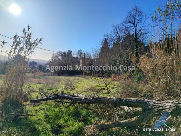 CASA COLONICA CON RICOVERO ATTREZZI, SILOS, TERRENO AGRICOLO E BOSCO - Foto 15