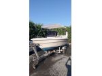 Coverline Pescosa (2009) + Evinrude 115cv + Carrello