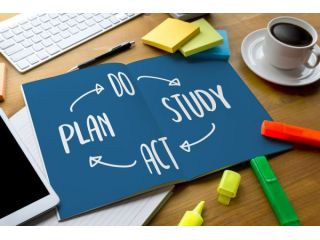 tutor multidisciplinare