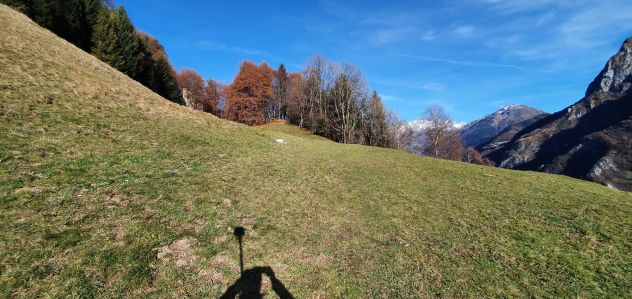 RUSTICO / CASALE - Foto 8