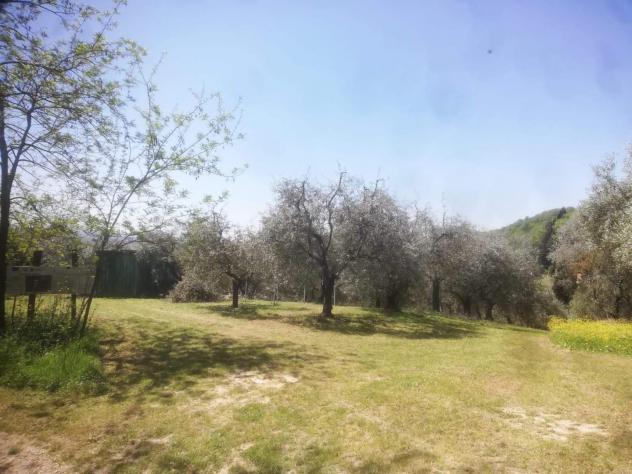 Terreno agricolo in vendita a Castelfranco di Sotto 5340 mq Rif: 1452784 - Foto 5