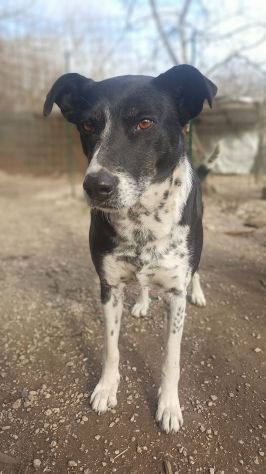 Kika - Foto 3