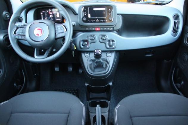 FIAT Panda Pandina 1.0 FireFly S&S Hybrid Icon NUOVO rif. 24062723 - Foto 7