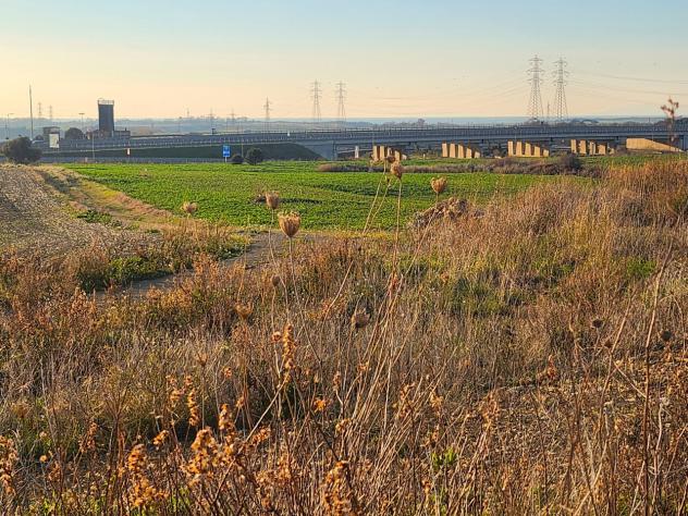 Industriale in vendita a Tarquinia - Foto 15