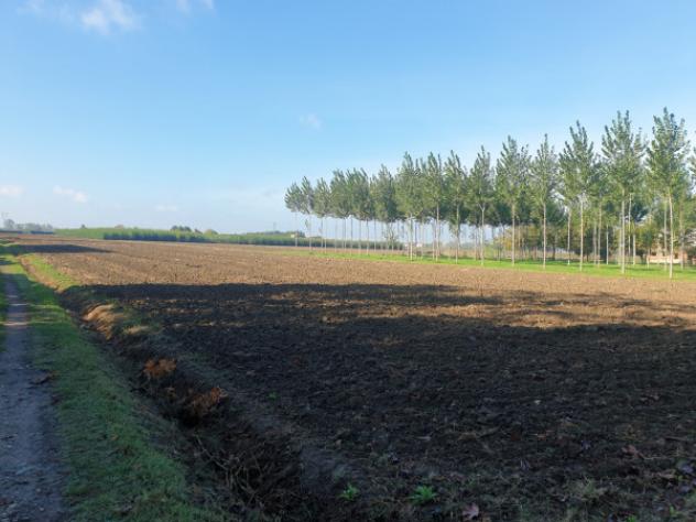 Terreno di 9000 m² in vendita a Bomporto